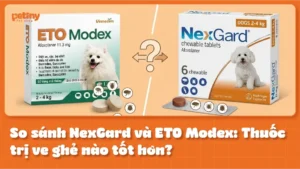 So sánh NexGard và ETO Modex: Thuốc trị ve ghẻ nào tốt hơn?