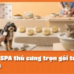 SPA thú cưng trọn gói từ A-Z tại Thủ Đức