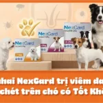Thuốc Nhai NexGard Trị Viêm Da, Ve, Ghẻ, Bọ Chét Trên Chó Có Tốt Không?