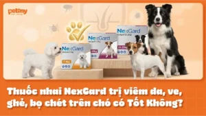 Thuốc Nhai NexGard Trị Viêm Da, Ve, Ghẻ, Bọ Chét Trên Chó Có Tốt Không?