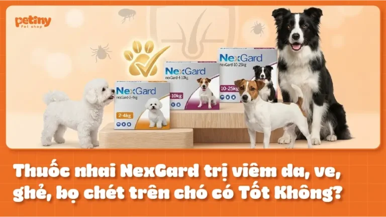 Thuốc Nhai NexGard Trị Viêm Da, Ve, Ghẻ, Bọ Chét Trên Chó Có Tốt Không?