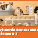 Tự tắm và cắt tỉa lông cho chó mèo tại nhà chuẩn spa A-Z