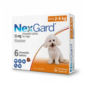 Viên Nhai NexGard Trị Ve, Bọ Chét Cho Chó - Chính Hãng Boehringer Ingelheim