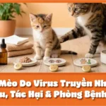 Bệnh Ở Mèo Do Virus Truyền Nhiễm: Dấu Hiệu, Tác Hại & Phòng Bệnh